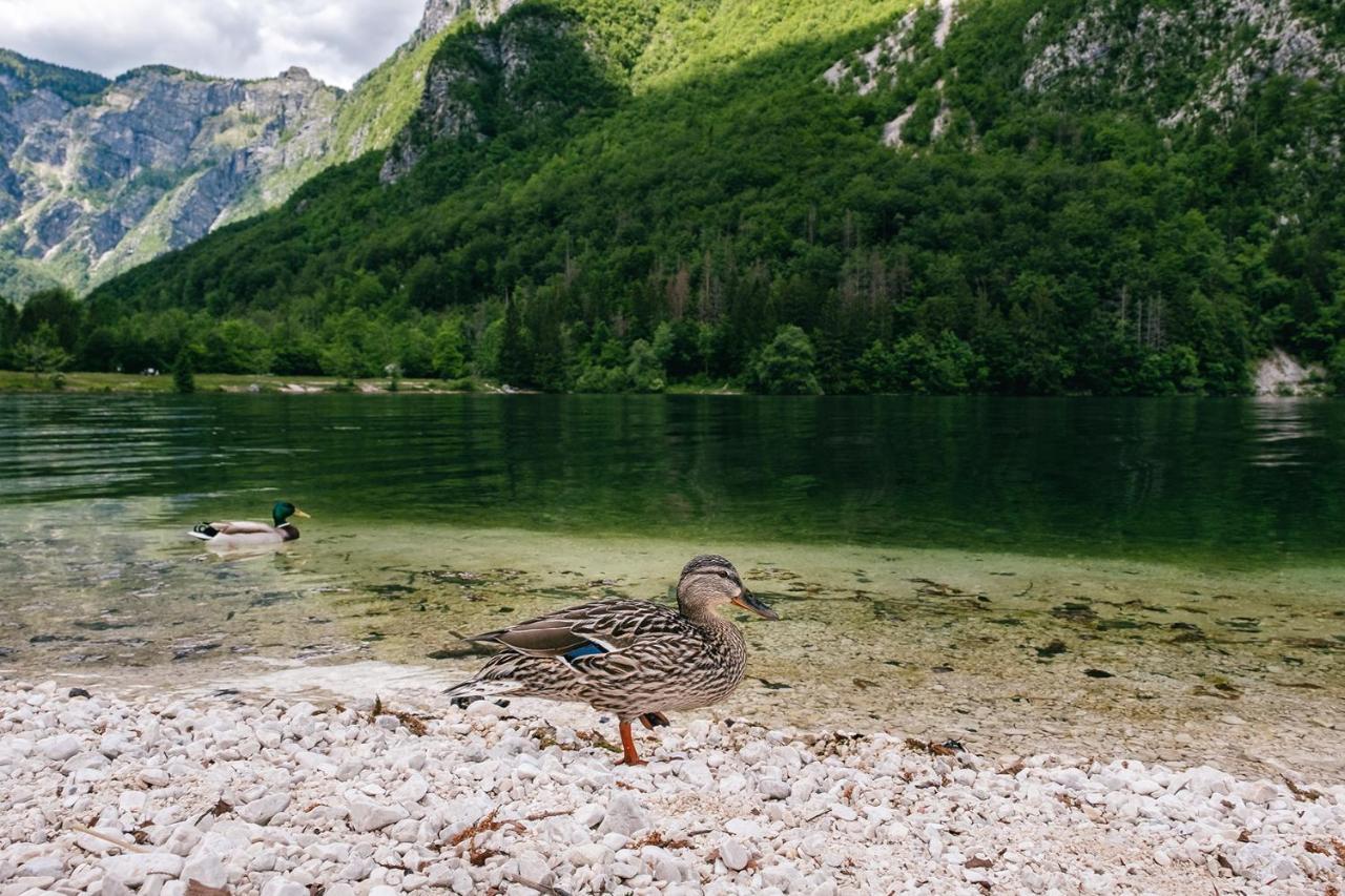 Villa Melody Bohinj Εξωτερικό φωτογραφία