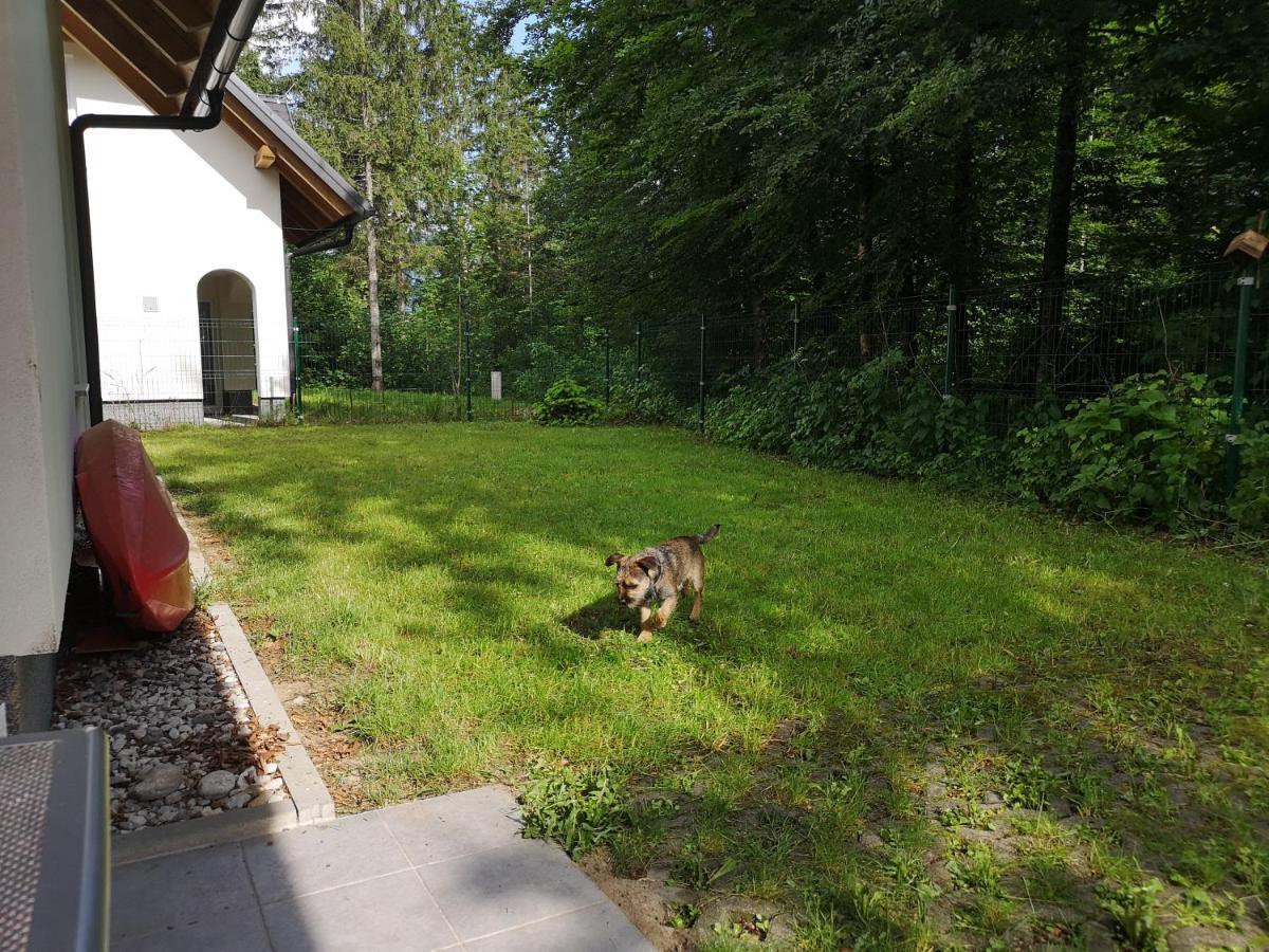 Villa Melody Bohinj Εξωτερικό φωτογραφία